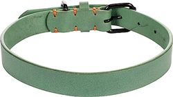Flamingo Collare LEANO Nero Verde L 43-53CM 25MM