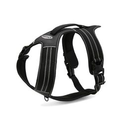 Record - Arnés para Perros Action Alpes - Color Negro - Talla XS - Material: Nylon Trenzado con Bandas Reflectantes 3M ScotchLite - Circunferencia 43-49 cm