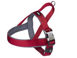 Nobby Noors harnas „Classic Preno Royal”, rood, 50-64 cm
