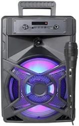 Eden pulse Altavoz Bluetooth inalámbrico 10W con función karaoke, ideal para fiestas y entretenimiento en casa.