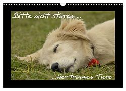 Bitte nicht stören... hier träumen Tiere (Wandkalender 2026 DIN A3 quer), CALVENDO Monatskalender: Der entspannende Tierkalender
