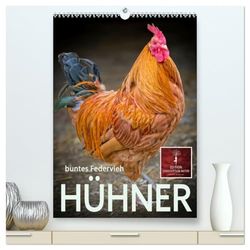 Hühner - buntes Federvieh (hochwertiger Premium Wandkalender 2026 DIN A2 hoch), Kunstdruck in Hochglanz: Unser Haushuhn - das häufigste Haustier der ... auf dem Vormarsch in die deutschen Gärten.