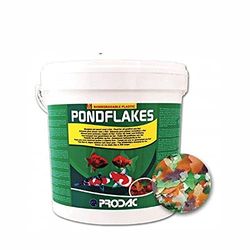 Nourriture pour Poissons d'Aquarium Prodac PONDFLAKES 1 kg (Cube) (Écailles)