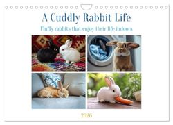 A Cuddly Rabbit Life (Wall Calendar 2026 DIN A4 landscape), CALVENDO 12 Month Wall Calendar: Fluffy rabbits enjoy their life between sofa, carpet and pillows