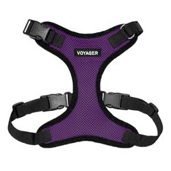 Best Pet Supplies Voyager Step-in Lock Harnais en Maille résistante aux intempéries pour Animaux de Compagnie, Harnais réglable pour Chats et Chiens, Bordure Violet/Noire, Taille XL