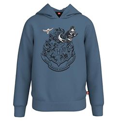 LEGO Harry Potter Kapuzenpullover Hoodie LWStorm 105 Sudadera con Capucha, 612 Faded Blue, 110 Unisex Adulto