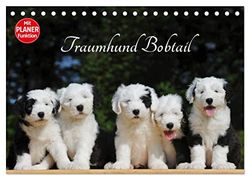 Traumhund Bobtail (Tischkalender 2026 DIN A5 quer), CALVENDO Monatskalender: Der Bobtail, der Old English Sheepdog, auf 13 bezaubernden Bildern