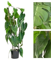 VEA SRL Plante G. Monstera Tropical 77 cm 58708