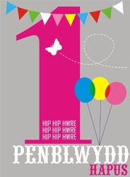Claire Giles Hatful of Happy Welsh Penblwydd Hapus Age 1 Birthday Card - Pink