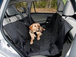 PARENCE. - Funda de Asiento de Coche para Perro - Alfombra de protección para Mascotas, Impermeable, Impermeable - Manta Anti-Saletado para el Coche, Protege del Vello y del Barro ETC