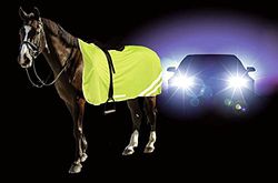 Kerbl - Coperta riflettente di sicurezza per cavallo