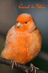 Carnet de Notes: Cahier ligné pour les passionnés de Canaris et d'oiseaux ⎪Un journal original au format pratique (6x9 pouces) 120 pages lignées sur ... couverture brillante avec un canari orange