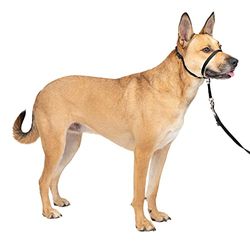 PetSafe Gentl Leader Collar