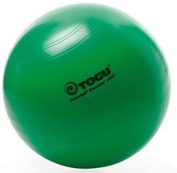 Togu Premium ABS Power Gymnastiekbal