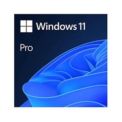 Operating System Windows 11 Pro 64 Bit PT DVD OEM