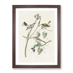 Yellow Crown Warbler Birds By John James Audubon Vintage Framed Wall Art Print, Ready to Hang Picture for Living Room Bedroom Home Office Décor, Walnut A2 (64 x 46 cm)