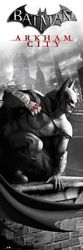 Empire 551207 Batman - Arkham City - Copertina Film Film Azione Crimine Slimposter Pressione - 30,5 x 91.5 cm