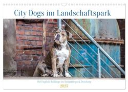 City Dogs im Landschaftspark (Wandkalender 2025 DIN A3 quer), CALVENDO Monatskalender: Ausdrucksvolle Fotos von Old English Bulldog im Industriestyle