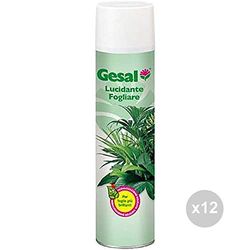 Gesal Set 12 Lucidante fogliare Spray 750 ml per Fiori e Piante, Multicolore, Unica