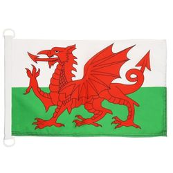 Nautische vlag Wales 45x30cm - Welshe bootvlag 30 x 45 cm - AZ VLAG