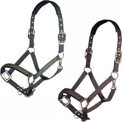 HKM Basilic Halter Dunkelgreen Warmblut