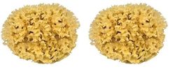 Croll & Denecke M080 - spugna naturale dal Mar Mediterraneo (qualità media, otto centimetri) (Confezione da 2)