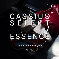 cassius select-essence 12"