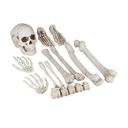 Relaxdays dekorativa ben, 12 delar set, halloween, utomhus och inomhus, ben, dödskalle & skeletthänder, skräckdekoration, XXL, vit, standard