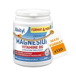 Alvityl Magnésium 300mg + Vitamine B6 - Libération Prolongée - Diffusion lente et progressive - Magnésium d'origine Marine - Stress, Fatigue, Irritabilité - Fabriqué en France - Comprimés 120 Jours