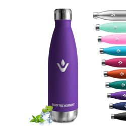 Insulated Bottle 500 ml, Leakproof Stainless Steel Bottle, BPA-Free Metal Bottle, Reusable, Double-Walled Stainless Steel Water Bottle, Insulated Water Bottle for School, Office, Sports, Hiking