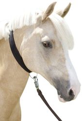 USG halsriem, pony