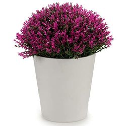 Ibergarden S3605247 Planteringskruka Plast, Vit, 15 x 15 x 15 cm
