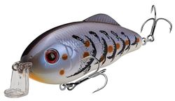 Strike King Hybrid Hunter Jr Blue Craw