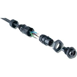Connecteur femelle Rst20I3 D6-10mm Wieland 96.031.0053.1