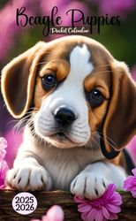 Beagle Puppies Pocket Calendar 2025-2026: Small 2-Year Monthly Planner For Purse