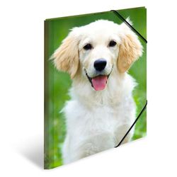 HERMA Lot de 3 chemises A3 pour chiens - En plastique - Avec motif animal - Élastique - Rabat intérieur et impression intérieure - Pour garçons et filles