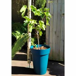 Riss Maceta 53 cm Azul Plástico