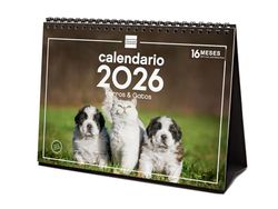 Finocam - Tafelkalender 2026 Maandoverzicht januari - december 2026 + sep - december 2025 (4 maanden) verlaagd | Kalender 2026 | Afbeeldingen Honden en katten - Spaans