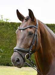 Rhinegold R175-F-BLK, Softee PRO-Anatomic Flash Bridle-Full-Black Unisex-Adulto, Nero