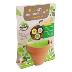 PLANETE PLANTE - Aardewerken Pot en Plantzaad - Tuinierset - 170071 - Aardewerk - Tuin - Natuur - Plant - Bloemen - Spel voor Kinderen - Vanaf 3 jaar