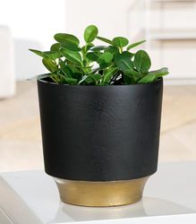 Pack of 2 Planter, Aluminum, black, PU 2, H. 18 cm, D. 18 cm