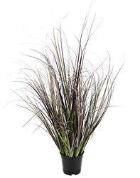 Flair Flower Boisson d'herbe dans Un Pot