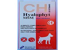 HYALOPHYT MSM Races Medium 120 Comprimés