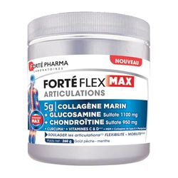 Forté Pharma - Forté Flex Max Articulations - Flexibilité, Mobilité - Collagène type I et II - Curcuma, MSM, Glucosamine - 1 cuill./jour, 20 jours