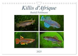 Killis d'Afrique (Calendrier mural 2025 DIN A4 vertical), CALVENDO calendrier mensuel: Poissons colorés