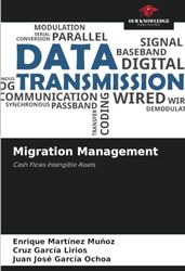 Migration Management: Cash Flows Intangible Assets