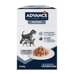Advance Veterinary Diets Recovery Cibo Umido per Cani e Gatti: Multipack 11 bustine da 100g