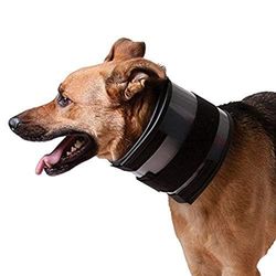 KVP Bijtvrije kraag past 11-15" nek, 2,5" breed