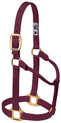 Weaver Leather Licol Original Non réglable (Bordeaux, avarage Horse/Yearling Draft)