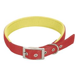 CHAPUIS SELLERIE SLA266 Collar de perro - Correa confort de nailon roja - Ancho 15 mm - Largo 35 cm - Talla S
